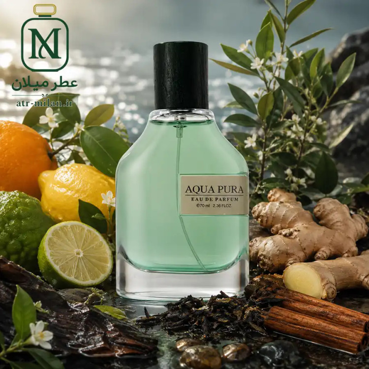 ادکلن aqua pura فرگرانس مشابه مگاماره